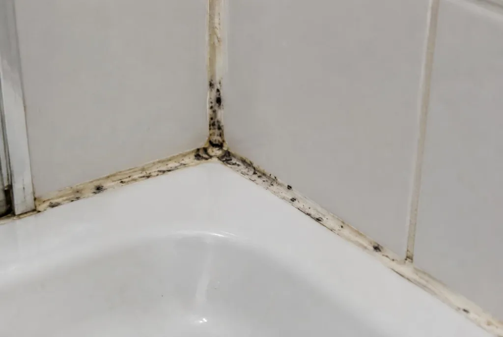 Kitbedrijf Dronten – beschimmelde kitranden